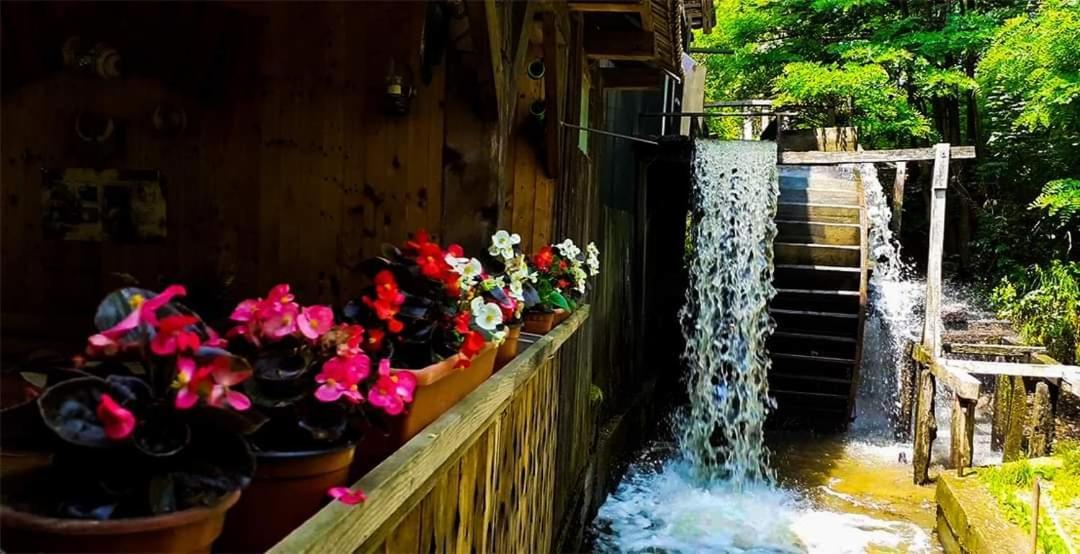 Вілла Casa Morii Ohaba Екстер'єр фото
