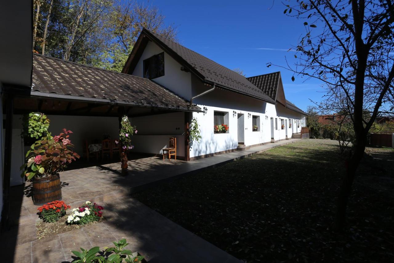 Вілла Casa Morii Ohaba Екстер'єр фото