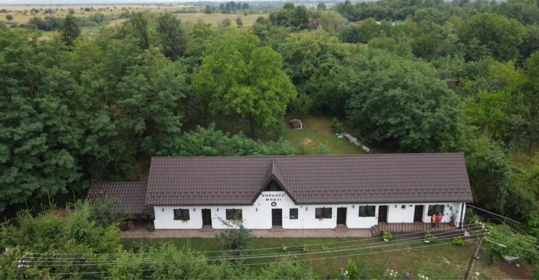 Вілла Casa Morii Ohaba Екстер'єр фото