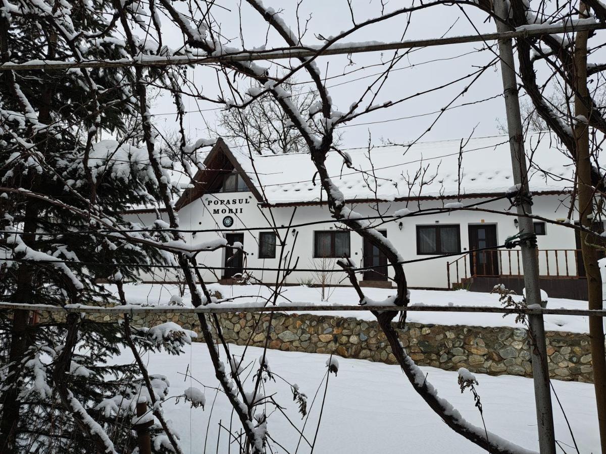 Вілла Casa Morii Ohaba Екстер'єр фото